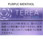 near terea heets buy online uae