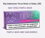 buy iqos terea heets ajman