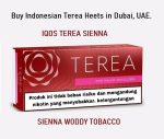 buy iqos terea heets umm al quween