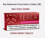 buy iqos terea heets umm al quween