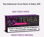 buy iqos terea heets dubai uae
