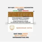 buy iqos terea amber in uae