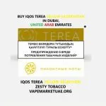 buy iqos terea yellow in uae